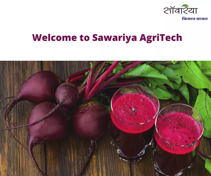 welcome to sawariya agritech