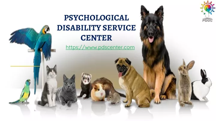 psychological disability service center