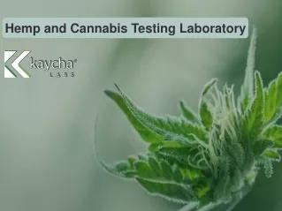 Hemp and Cannabis Testing Laboratory - Kaycha Labs