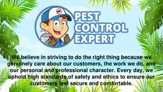 Reliable Pest Management in Nashville - Pest Control Expert