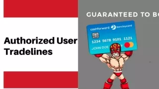 Authorized User Tradelines