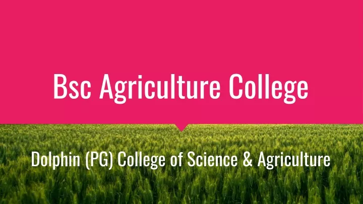 bsc agriculture college