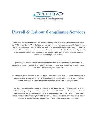 Payroll & Labour Compliance Services