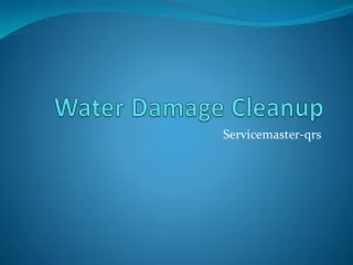 Water Damage Cleanup | Cosmos Immigration