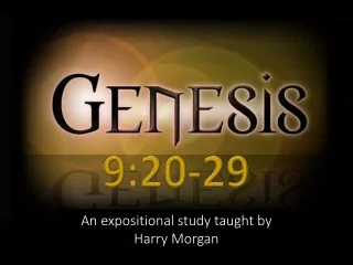 Post-Flood World Order - Genesis 9:2-29
