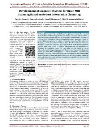 Development of Diagnostic System for Brain MRI Scanning Based on Robust Information Clustering