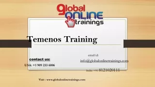 Temenos T24 training | Best Temenos T24 online training – GOT