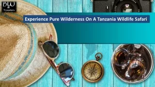 Experience Pure Wilderness On A Tanzania Wildlife Safari