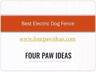 Wireless Electric Dog Fence