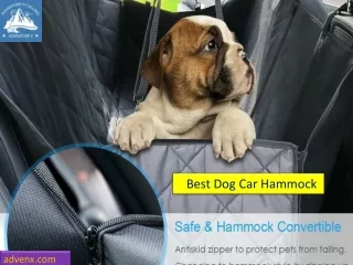 Best Dog Car Hammock