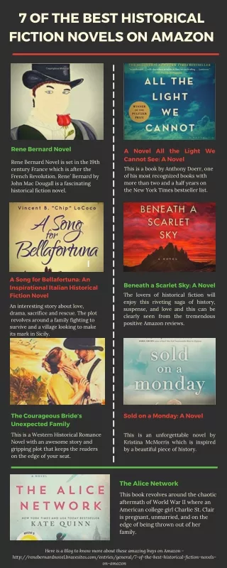 List of the Best Historical Fiction Novels on Amazon :Infographic