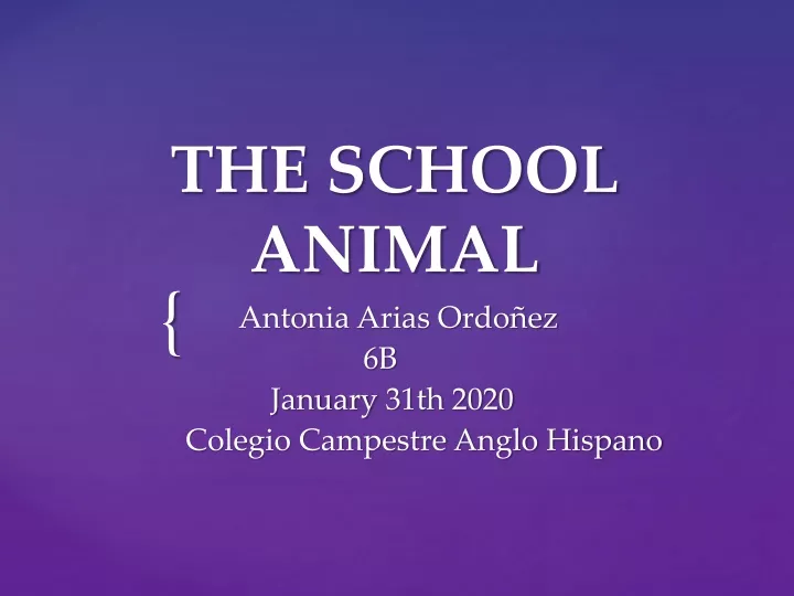 the school animal