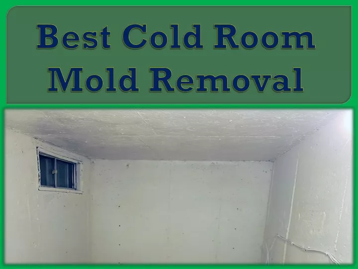 best cold room mold removal