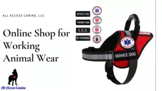 Emotional Support Animal Vest, Collar & Tags at All Access Canine