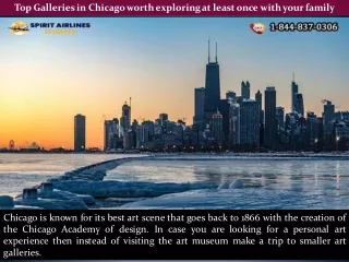 Top Galleries in Chicago worth exploring at least once with your family