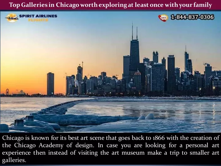 top galleries in chicago worth exploring at least