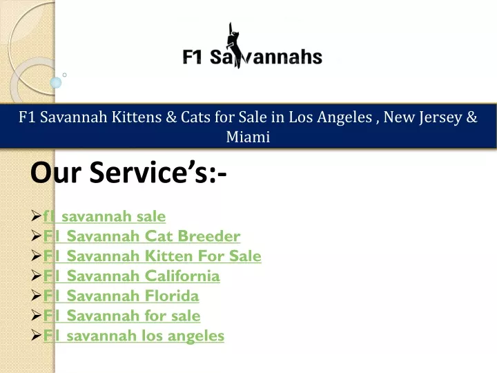 f1 savannah kittens cats for sale in los angeles