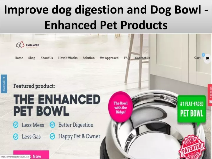 improve dog digestion and dog bowl enhanced pet products