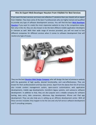 Hire An Expert Web Developer Houston From Vidaltek For Best Services