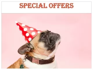 SPECIAL OFFERS DOG RUNS