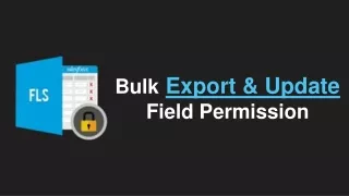 Export and Update Field Permission in BULK