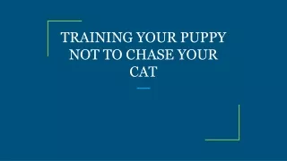 TRAINING YOUR PUPPY NOT TO CHASE YOUR CAT