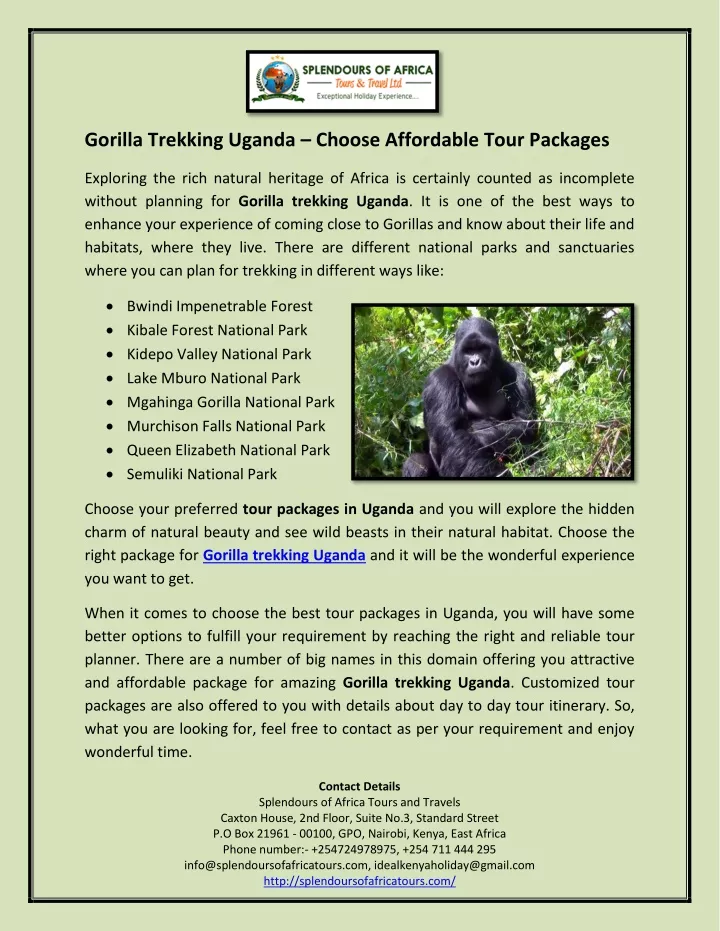 gorilla trekking uganda choose affordable tour