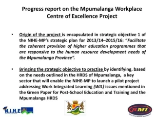 Progress report on the Mpumalanga Workplace Centre of Excellence Project WOPCoE