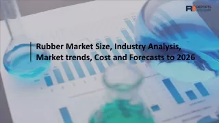 Rubber Market Opportunity Assessment 2019-2026
