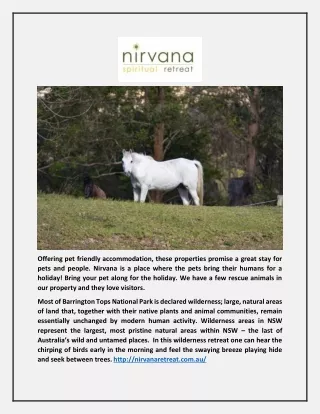Pet friendly resort - Nirvana Spiritual Retreat