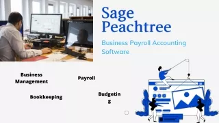 Sage Peachtree Accounting Software- Key To Success
