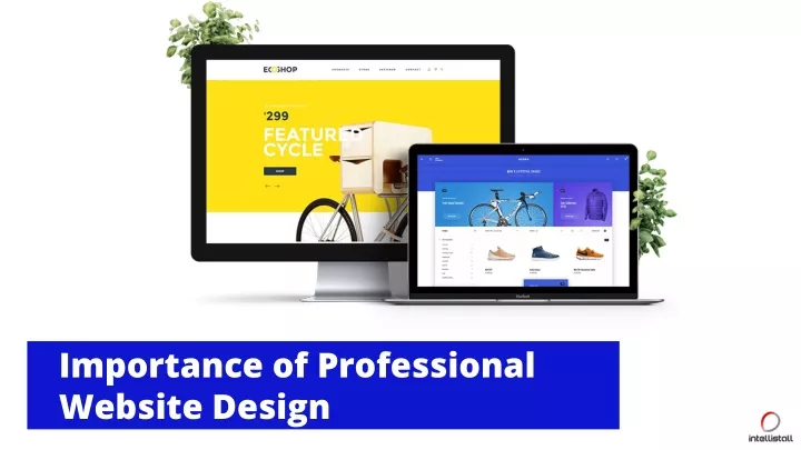 importance of professional website design