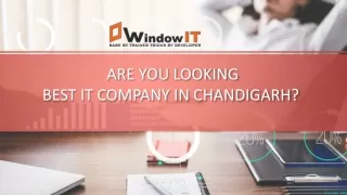 Best IT Company in Chandigarh