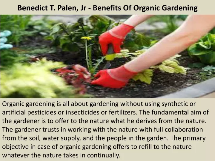 benedict t palen jr benefits of organic gardening