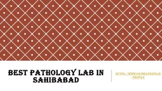 best pathology lab in sahibabad