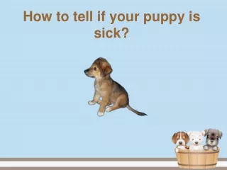 How to tell if your puppy is sick?