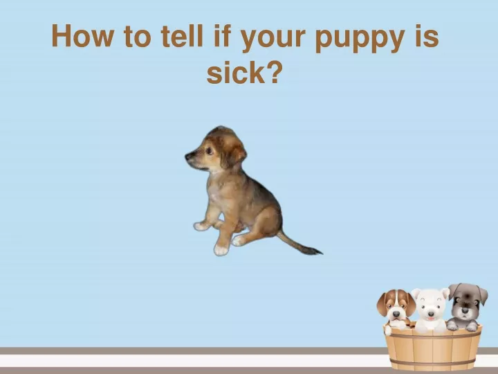 how to tell if your puppy is sick