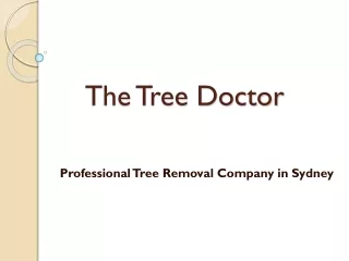 Professional Tree Pruning Services in Sydney | The Tree Doctor
