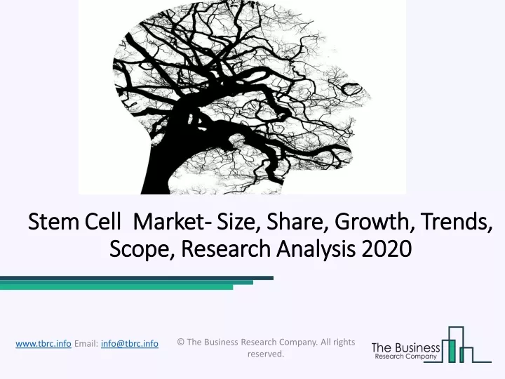stem cell market stem cell market size share