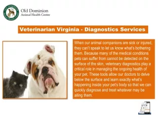 Veterinarian Virginia - Diagnostics Services
