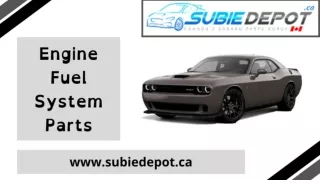 Fuel System and Engine Products in Canada