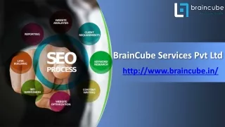 SEO Company Delhi - BrainCube Services Pvt Ltd