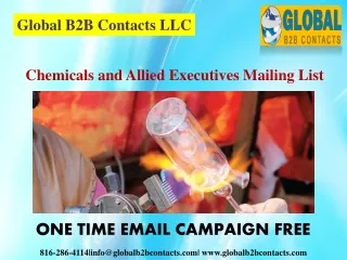 global b2b contacts llc