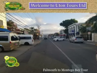 Customize Montego Bay Tours