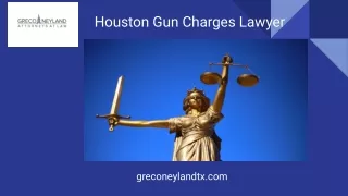 Houston Gun Charges Lawyer