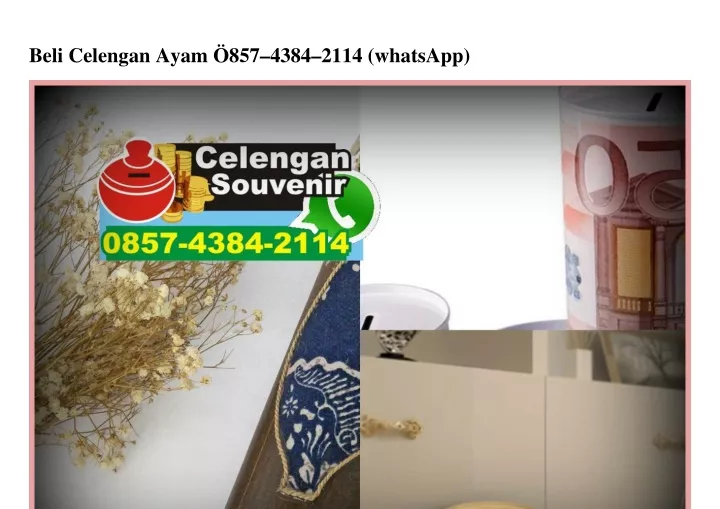 beli celengan ayam 857 4384 2114 whatsapp