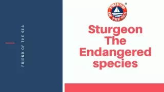 Save Sturgeon Endangered Species