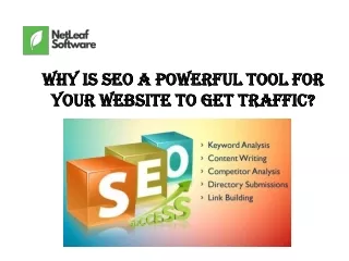 Why is SEO a powerful tool for your website to get traffic?