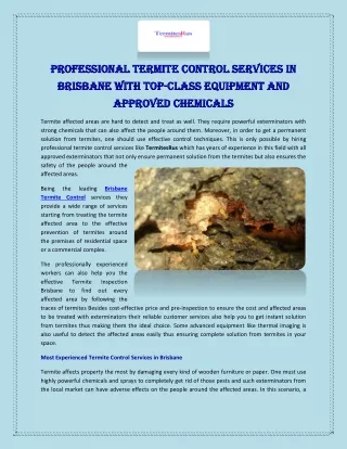 Professional Termite Control Services in Brisbane With Top-Class Equipment and Approved Chemicals