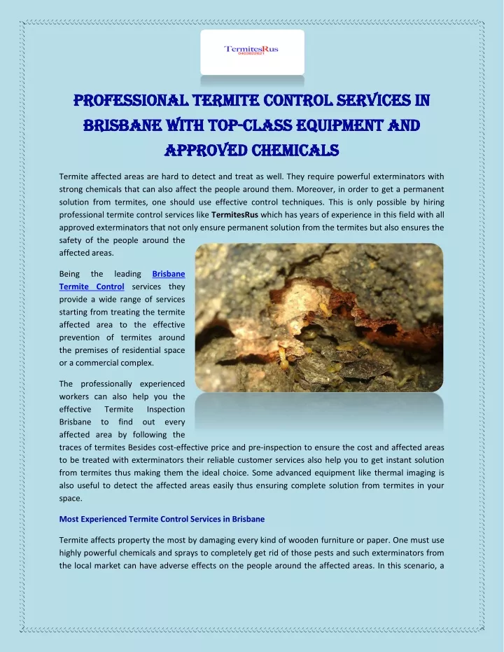 professional termite control services